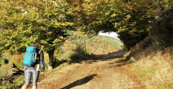 Vivre le chemin de Compostelle en automne : conseils et itinéraires