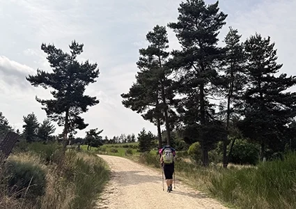 Partir seul(e) sur le Chemin de Compostelle : dépasser ses peurs et trouver son rythme
