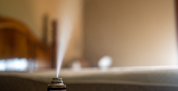 Lutter contre les punaises de lit