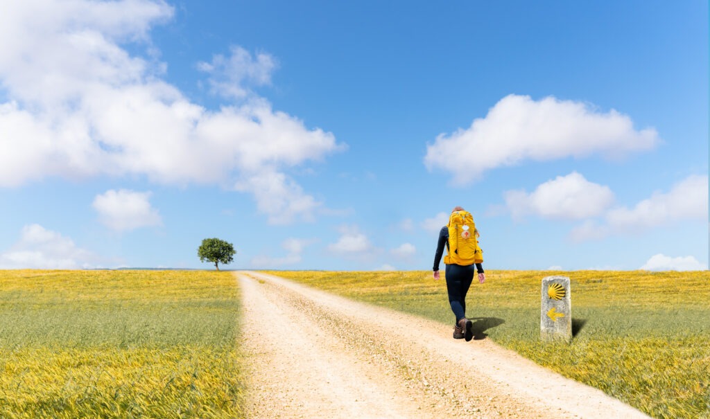 Camino de Santiago - pilgrim