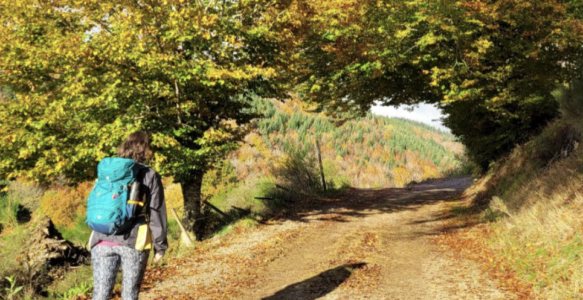 Vivre le chemin de Compostelle en automne : conseils et itinéraires