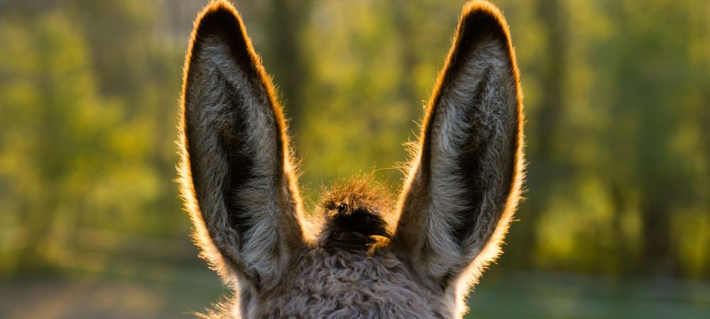 AdobeStock_146673946-min