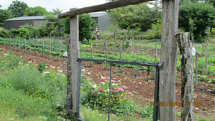 ferme4