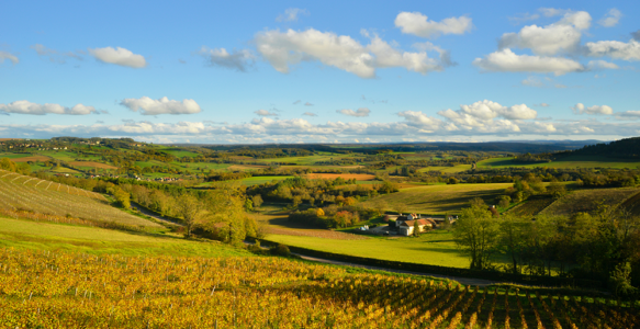 L&rsquo;appel magique de la Voie de Vézelay : Un voyage épique vers Saint-Jean-Pied-de-Port